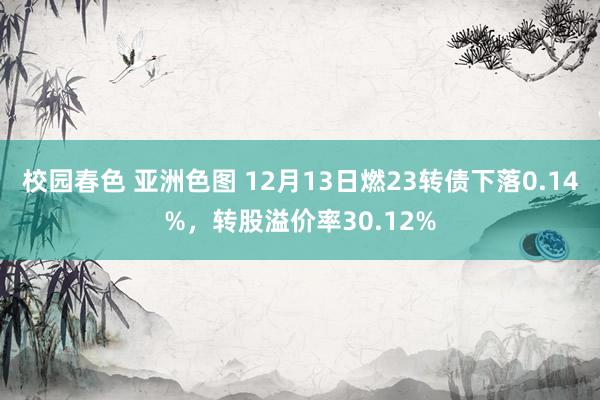 校园春色 亚洲色图 12月13日燃23转债下落0.14%，转股溢价率30.12%