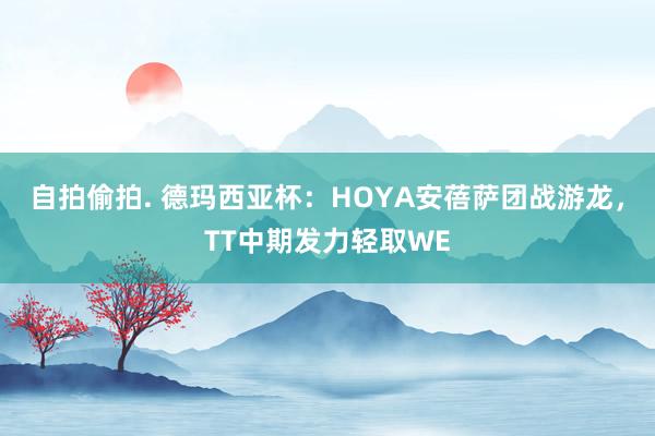 自拍偷拍. 德玛西亚杯：HOYA安蓓萨团战游龙，TT中期发力轻取WE