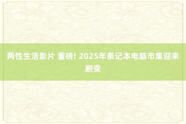 两性生活影片 重磅! 2025年条记本电脑市集迎来剧变