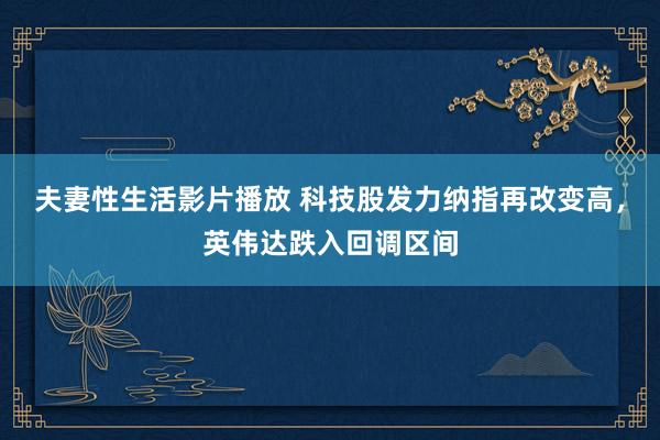 夫妻性生活影片播放 科技股发力纳指再改变高，英伟达跌入回调区间