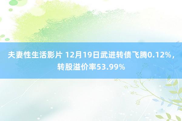 夫妻性生活影片 12月19日武进转债飞腾0.12%，转股溢价率53.99%