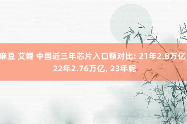 麻豆 艾鲤 中国近三年芯片入口额对比: 21年2.8万亿， 22年2.76万亿， 23年呢