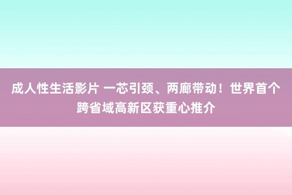 成人性生活影片 一芯引颈、两廊带动！世界首个跨省域高新区获重心推介