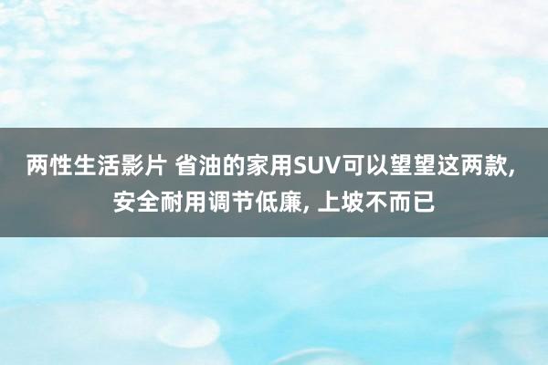 两性生活影片 省油的家用SUV可以望望这两款， 安全耐用调节低廉， 上坡不而已