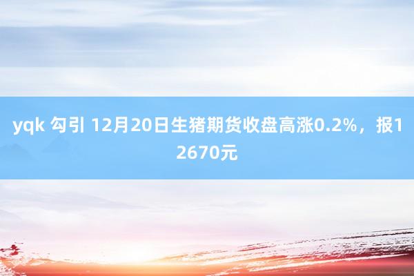 yqk 勾引 12月20日生猪期货收盘高涨0.2%，报12670元