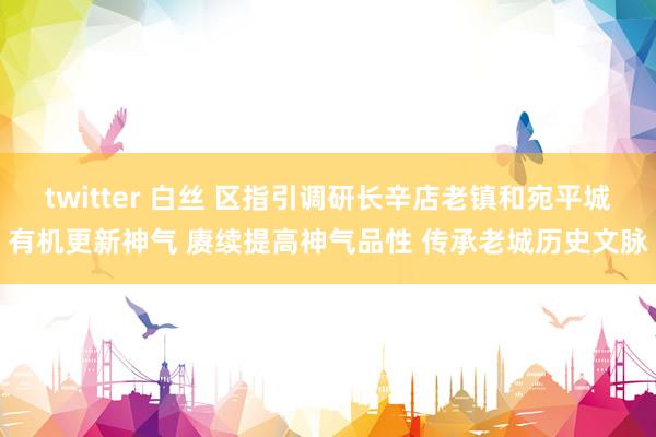 twitter 白丝 区指引调研长辛店老镇和宛平城有机更新神气 赓续提高神气品性 传承老城历史文脉