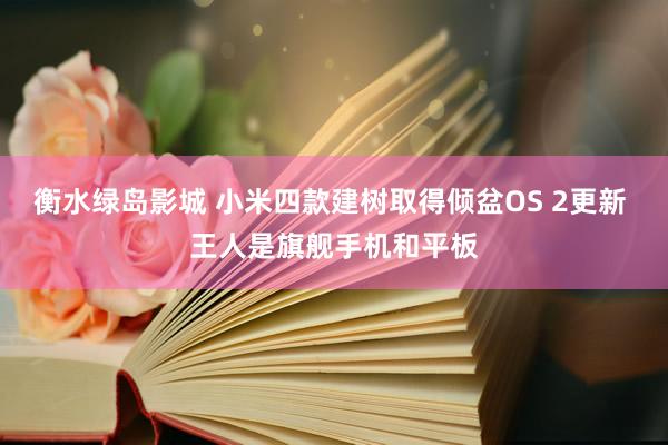 衡水绿岛影城 小米四款建树取得倾盆OS 2更新 王人是旗舰手机和平板