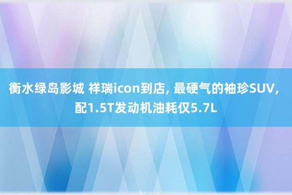 衡水绿岛影城 祥瑞icon到店， 最硬气的袖珍SUV， 配1.5T发动机油耗仅5.7L