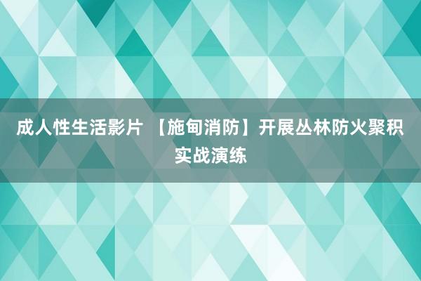 成人性生活影片 【施甸消防】开展丛林防火聚积实战演练