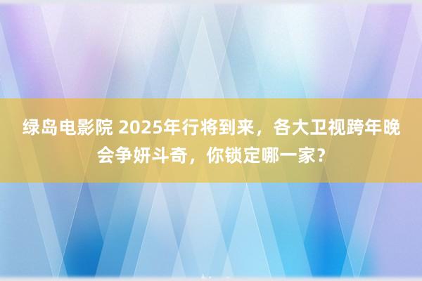 绿岛电影院 2025年行将到来，各大卫视跨年晚会争妍斗奇，你锁定哪一家？