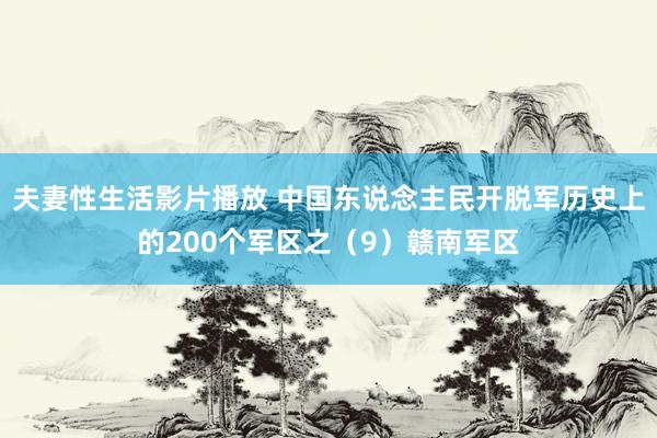 夫妻性生活影片播放 中国东说念主民开脱军历史上的200个军区之（9）赣南军区