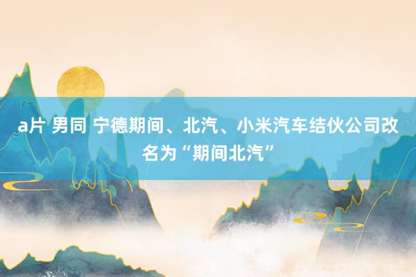 a片 男同 宁德期间、北汽、小米汽车结伙公司改名为“期间北汽”