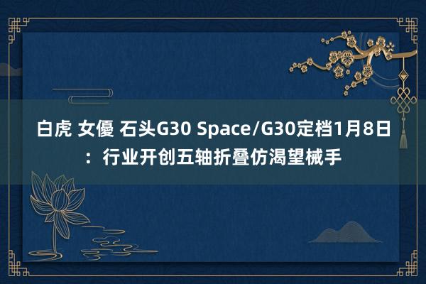 白虎 女優 石头G30 Space/G30定档1月8日：行业开创五轴折叠仿渴望械手