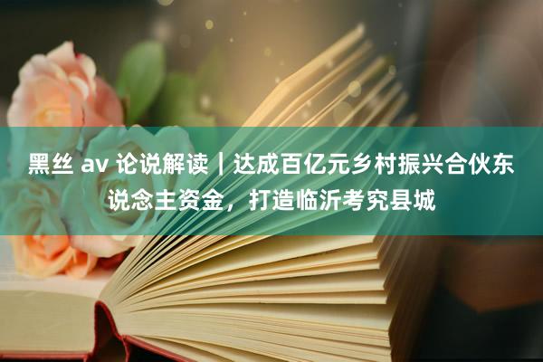 黑丝 av 论说解读｜达成百亿元乡村振兴合伙东说念主资金，打造临沂考究县城