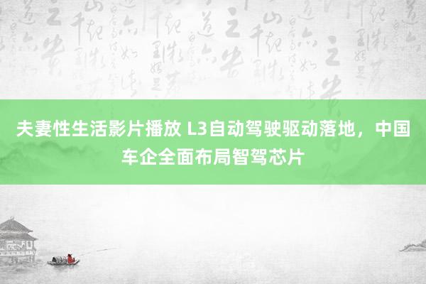 夫妻性生活影片播放 L3自动驾驶驱动落地，中国车企全面布局智驾芯片