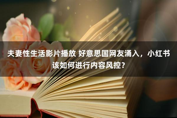 夫妻性生活影片播放 好意思国网友涌入，小红书该如何进行内容风控？