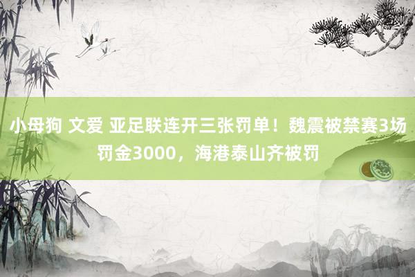 小母狗 文爱 亚足联连开三张罚单！魏震被禁赛3场罚金3000，海港泰山齐被罚