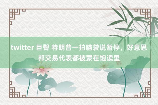 twitter 巨臀 特朗普一拍脑袋说暂停，好意思邦交易代表都被蒙在饱读里