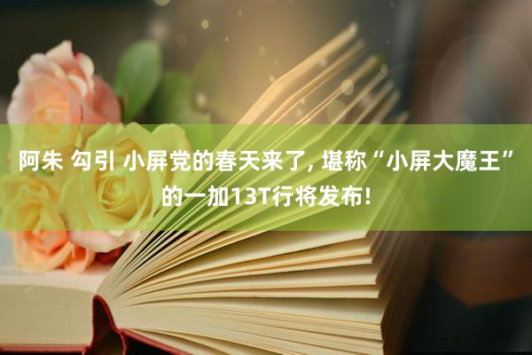 阿朱 勾引 小屏党的春天来了， 堪称“小屏大魔王”的一加13T行将发布!