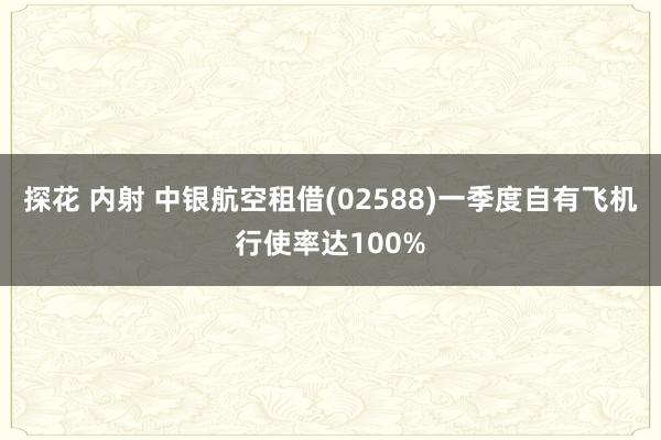 探花 内射 中银航空租借(02588)一季度自有飞机行使率达100%