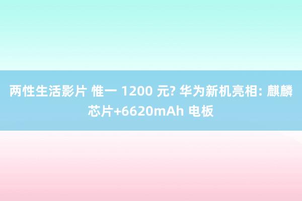 两性生活影片 惟一 1200 元? 华为新机亮相: 麒麟芯片+6620mAh 电板
