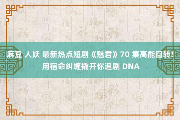 麻豆 人妖 最新热点短剧《魅君》70 集高能回转! 用宿命纠缠撬开你追剧 DNA